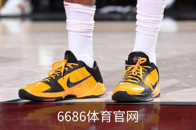 6686体育官网企业介绍展示图